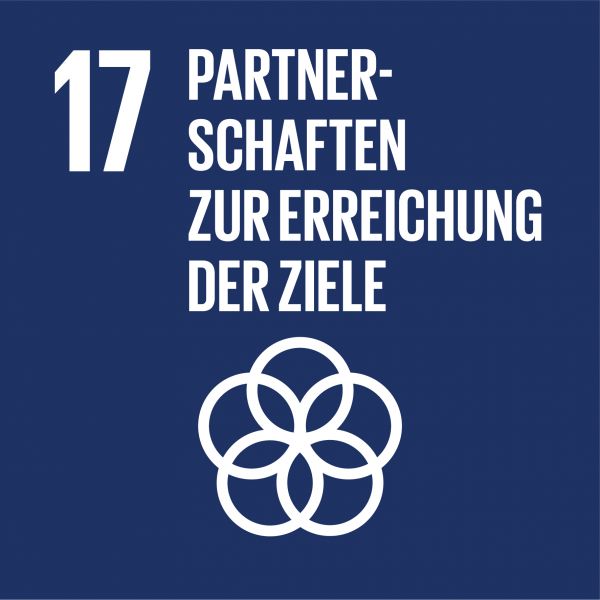 Ziele nachhaltige Entwicklung - Partnerschaften zur Erreichung der Ziele